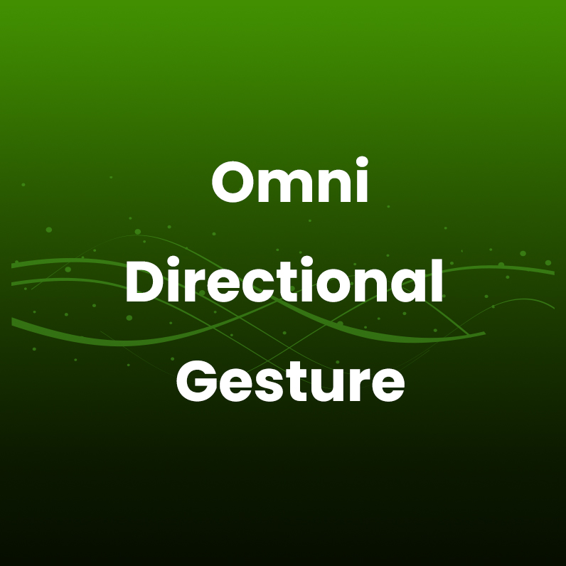 Omni-directional gesture